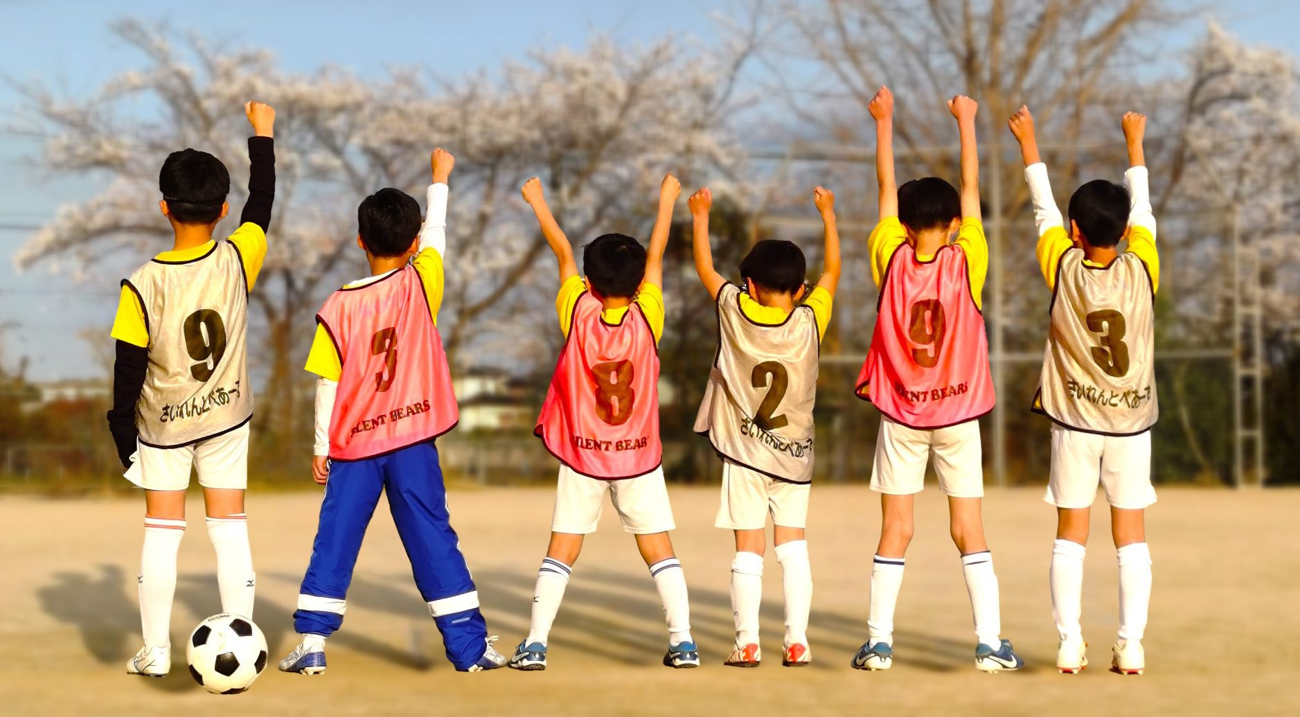 Silent Bears Sports Club